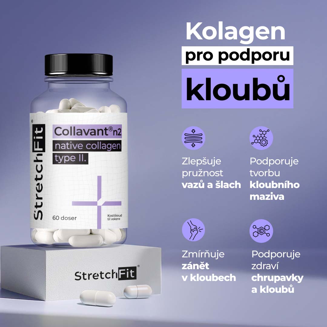 Kolagen Collavant® n2 - StretchFit™ 60 kapslí